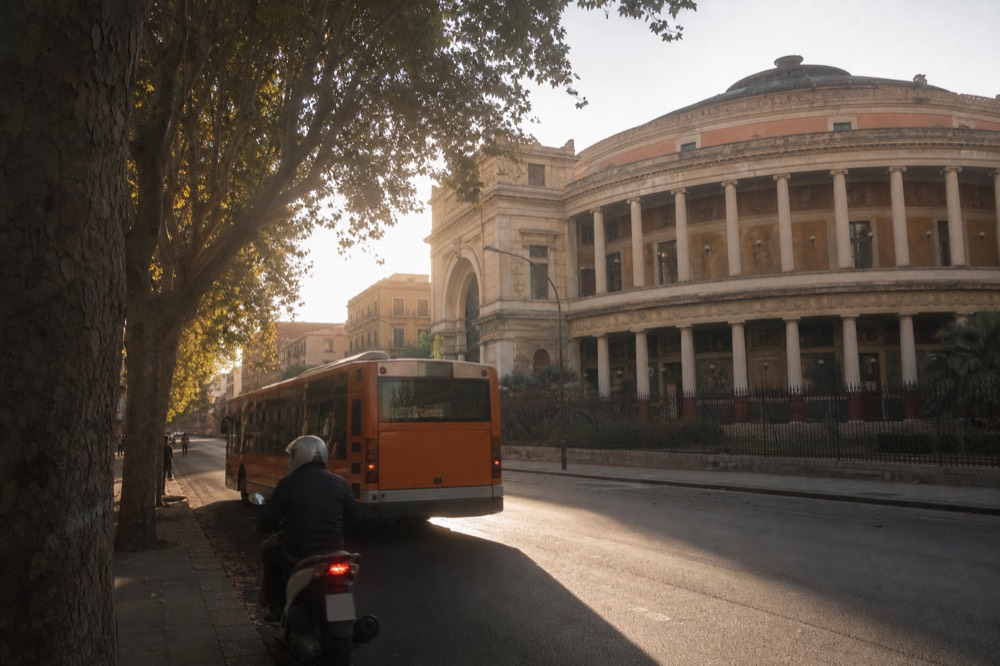 A Palermo boulevard with trees, historic buildings and a passing city bus in late afternoon light