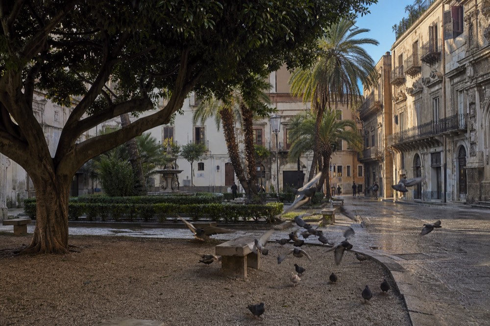 A sunlit Palermo square with palm trees and historic buildings in late afternoon